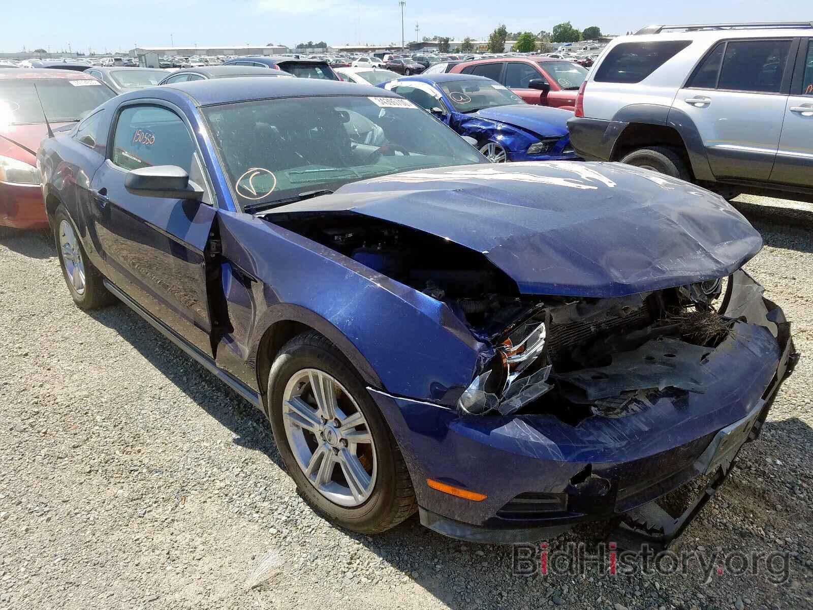 Photo 1ZVBP8AM1B5134510 - FORD MUSTANG 2011