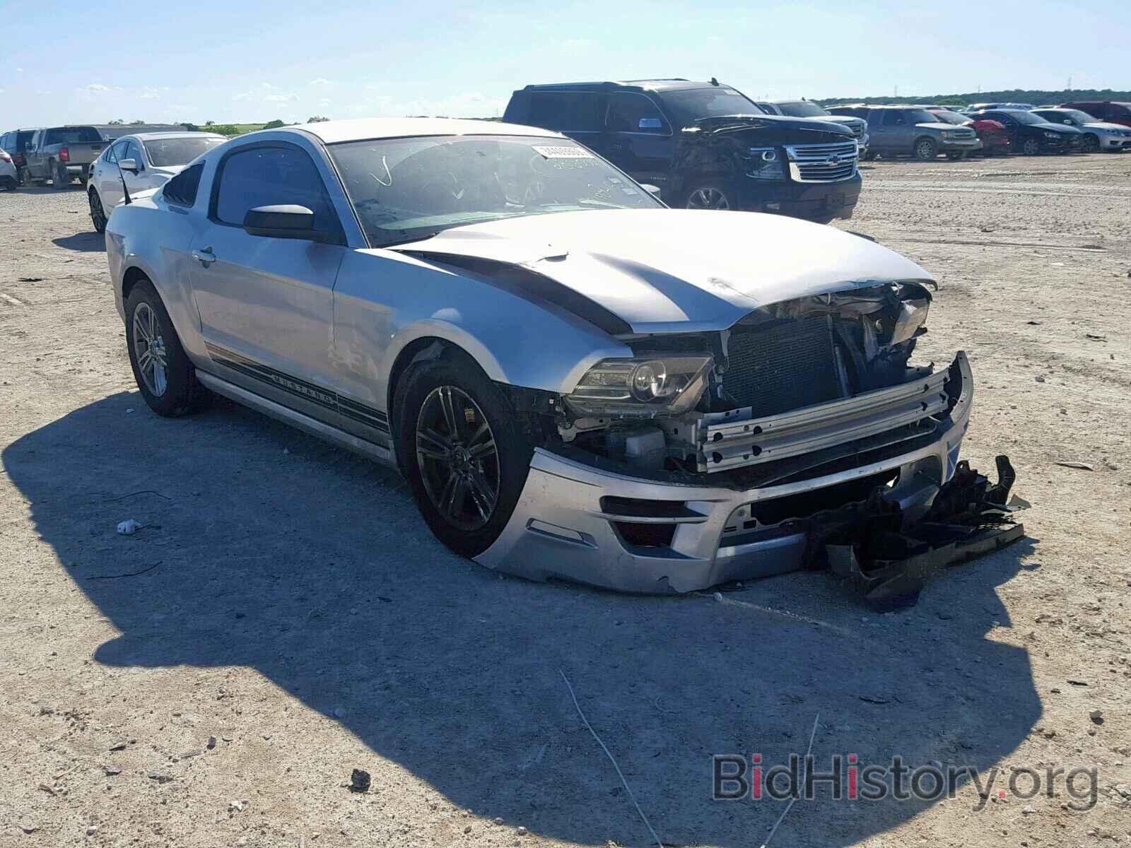 Photo 1ZVBP8AM9D5236009 - FORD MUSTANG 2013
