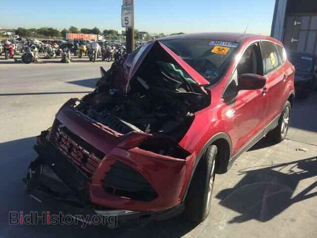 2013 FORD ESCAPE - VIN: 1FMCU0G90DUD77251 - Фото 2