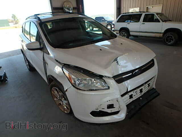 Фотография 1FMCU0G9XDUC08287 - FORD ESCAPE 2013