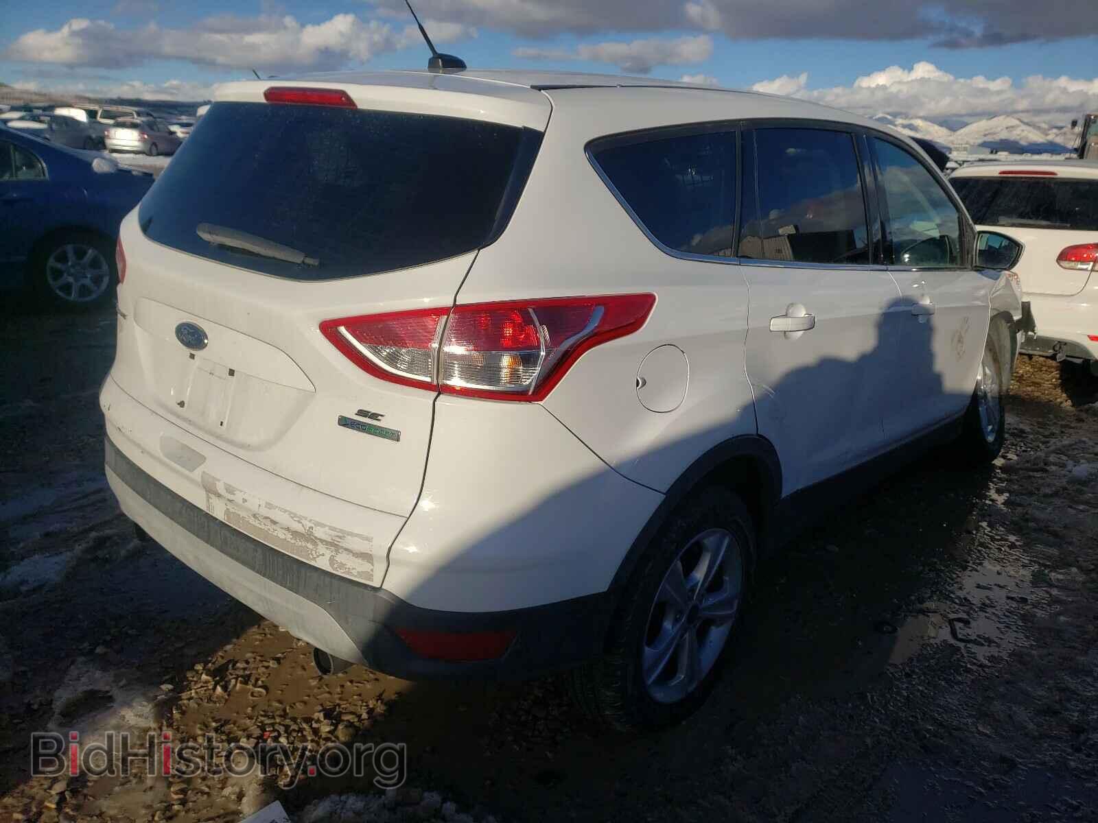 2013 FORD ESCAPE - VIN: 1FMCU0GX2DUD24744 - Photo 4