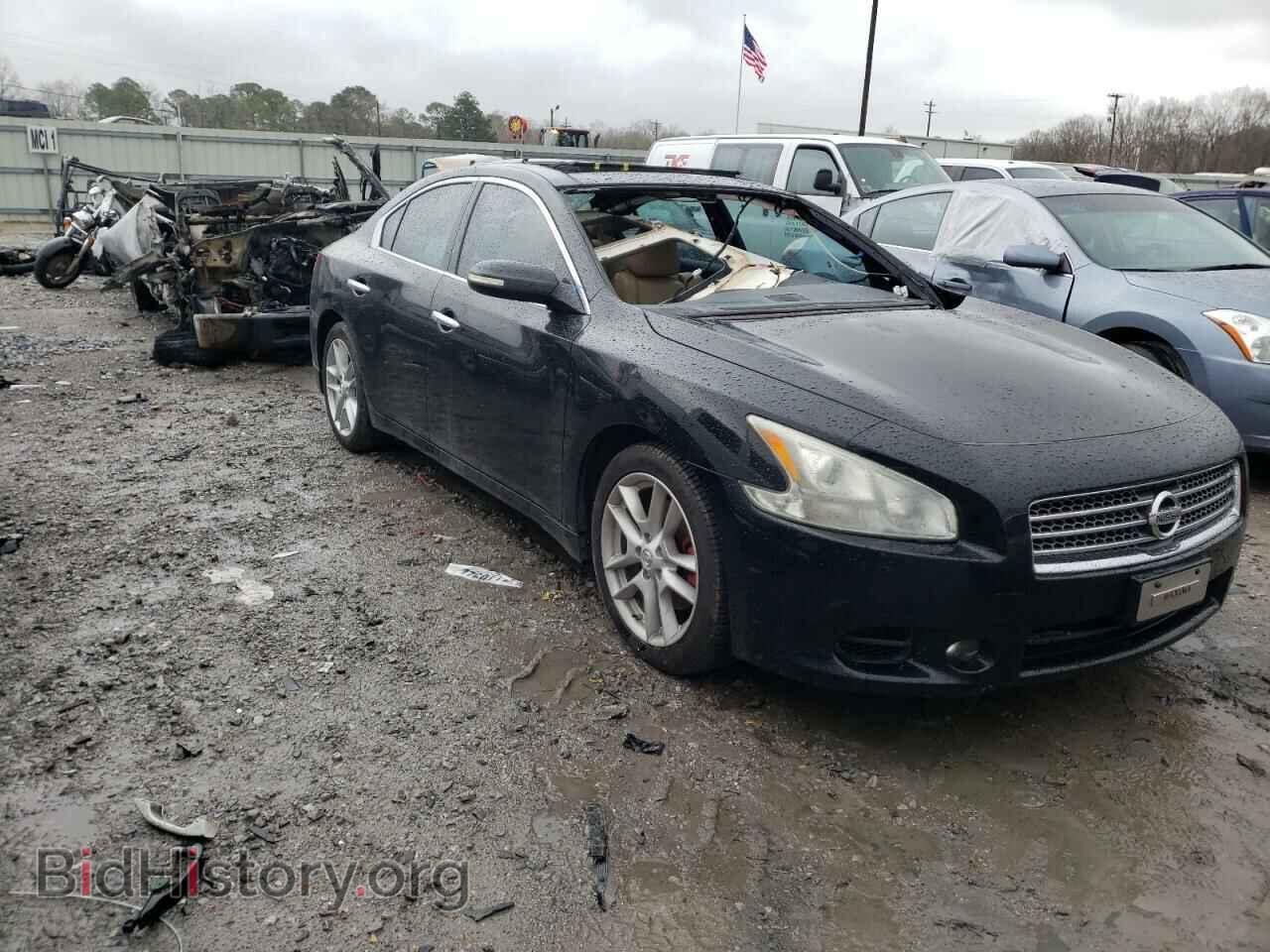 Фотография 1N4AA51E09C859017 - NISSAN MAXIMA 2009