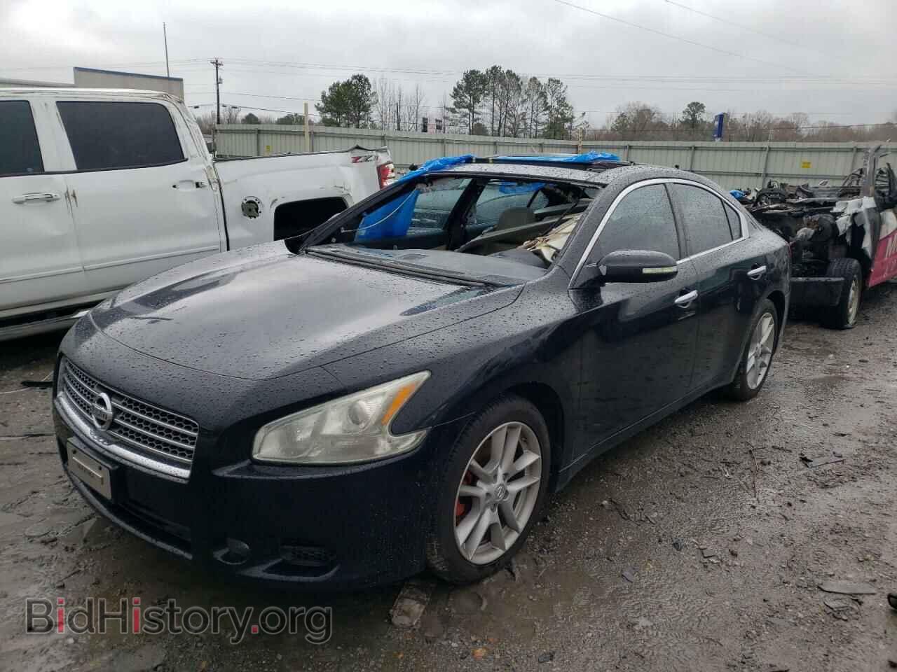 2009 NISSAN MAXIMA - VIN: 1N4AA51E09C859017 - Фото 2