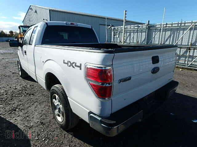2013 FORD F150 - VIN: 1FTFX1EF6DFC97500 - Фото 3