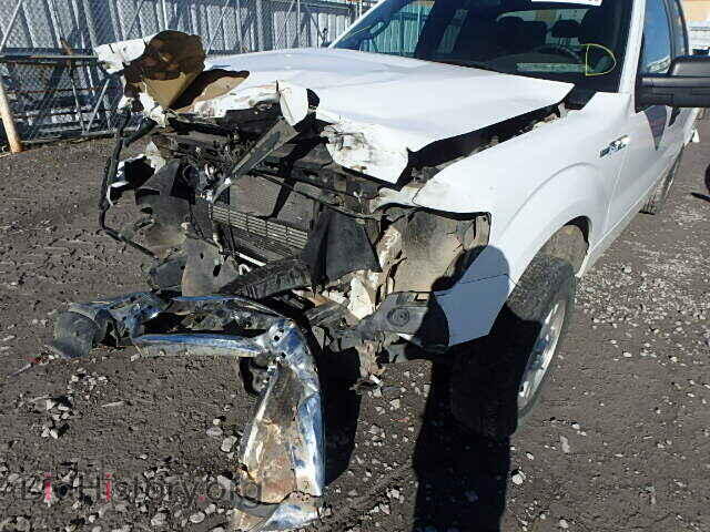 2013 FORD F150 - VIN: 1FTFX1EF6DFC97500 - Фото 9