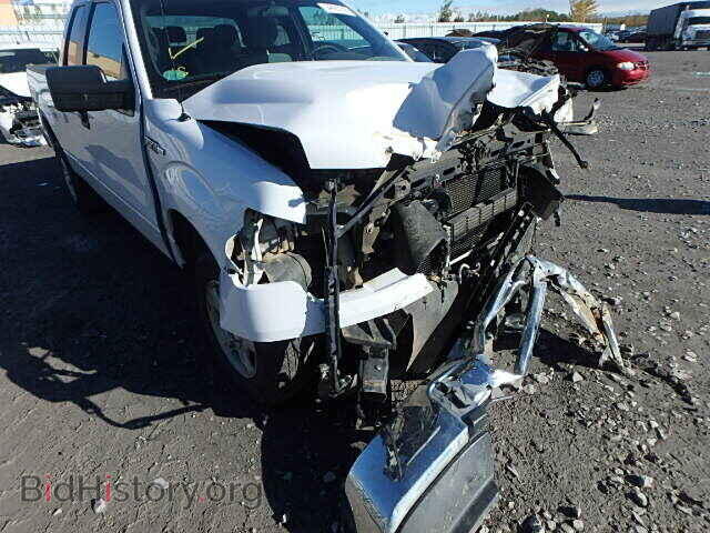 2013 FORD F150 - VIN: 1FTFX1EF6DFC97500 - Фото 10