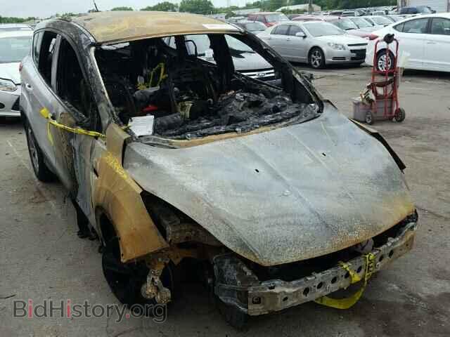 Photo 1FMCU0GX9DUB53720 - FORD ESCAPE 2013
