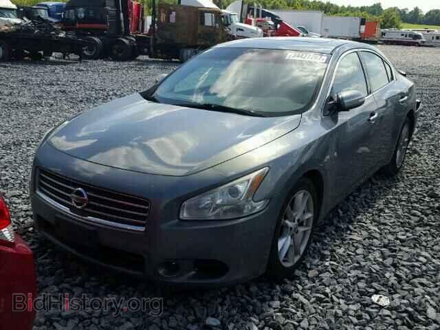 2009 NISSAN MAXIMA - VIN: 1N4AA51E59C800058 - Фото 2
