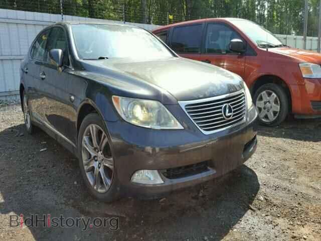 Фотография JTHGL46F785029596 - LEXUS LS460 2008