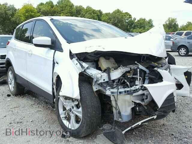 Фотография 1FMCU0GX2DUD68646 - FORD ESCAPE 2013