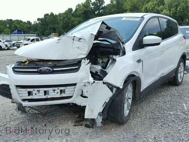 2013 FORD ESCAPE - VIN: 1FMCU0GX2DUD68646 - Photo 2