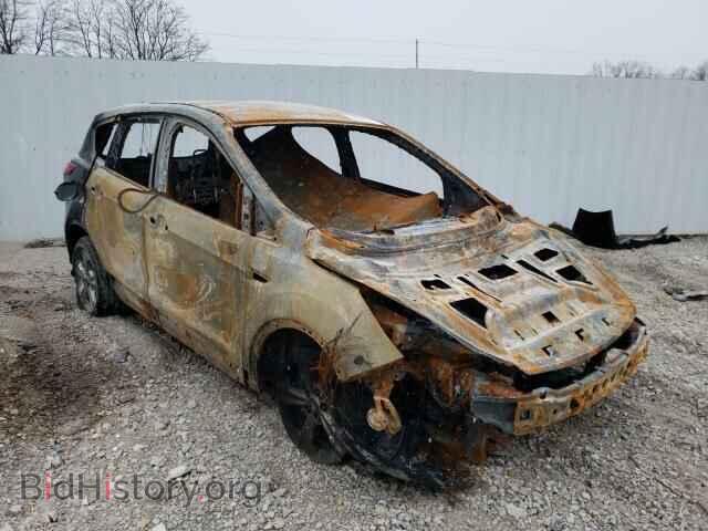 Фотография 1FMCU0GX5DUB51690 - FORD ESCAPE 2013