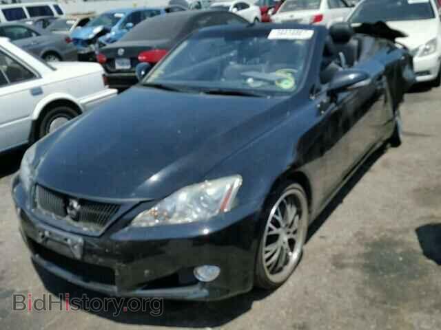 2010 LEXUS IS250 - VIN: JTHFF2C25A2500774 - Фото 2