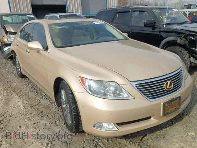 Фотография JTHBL46F085070470 - LEXUS LS460 2008