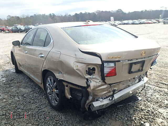 2008 LEXUS LS460 - VIN: JTHBL46F085070470 - Фото 3