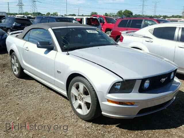 Фотография 1ZVHT85H565223070 - FORD MUSTANG 2006