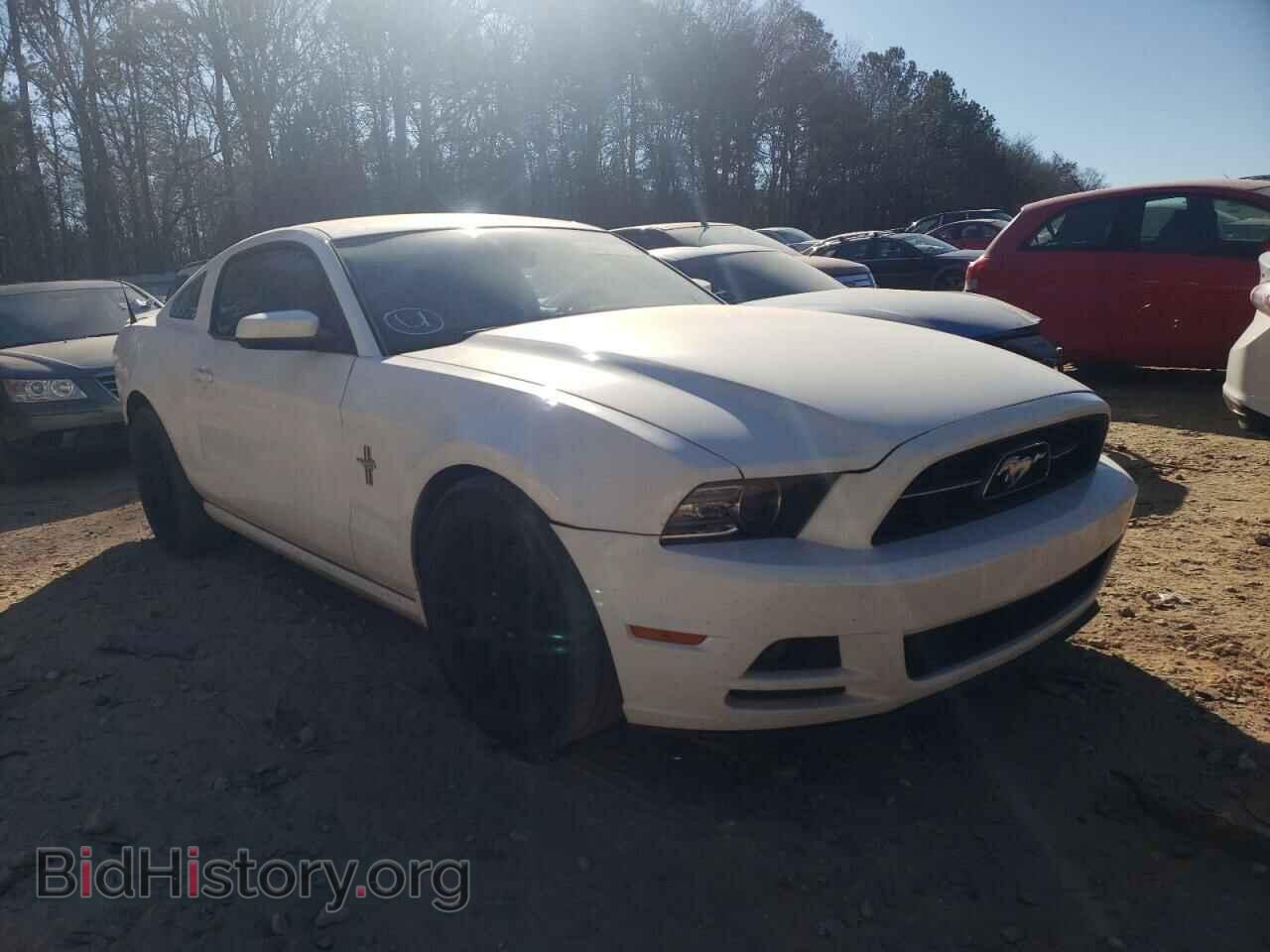 Фотография 1ZVBP8AMXD5270900 - FORD MUSTANG 2013