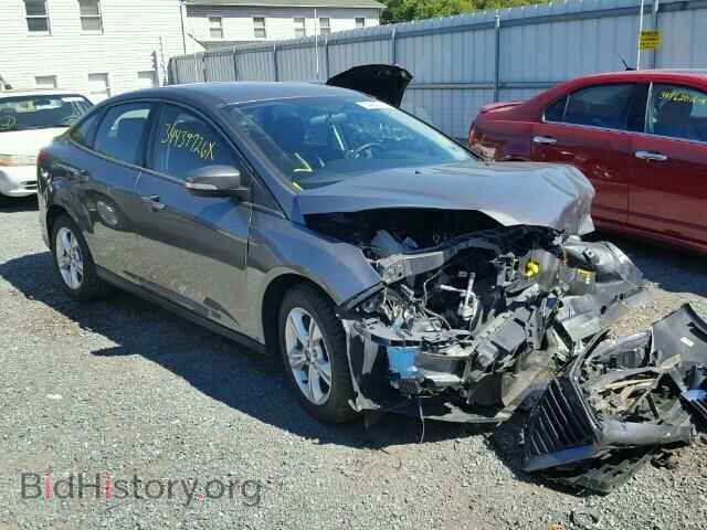 Photo 1FADP3F24DL317376 - FORD FOCUS 2013