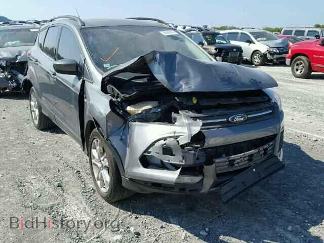 Фотография 1FMCU0G99EUC56803 - FORD ESCAPE 2014