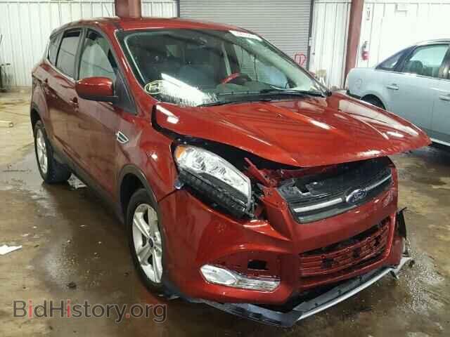 Фотография 1FMCU0GX9EUD00507 - FORD ESCAPE 2014