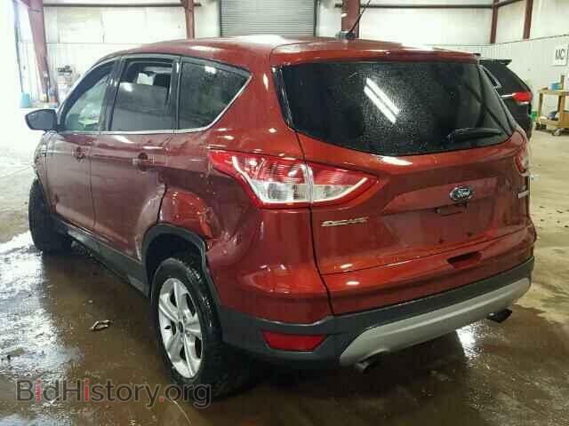 2014 FORD ESCAPE - VIN: 1FMCU0GX9EUD00507 - Photo 3