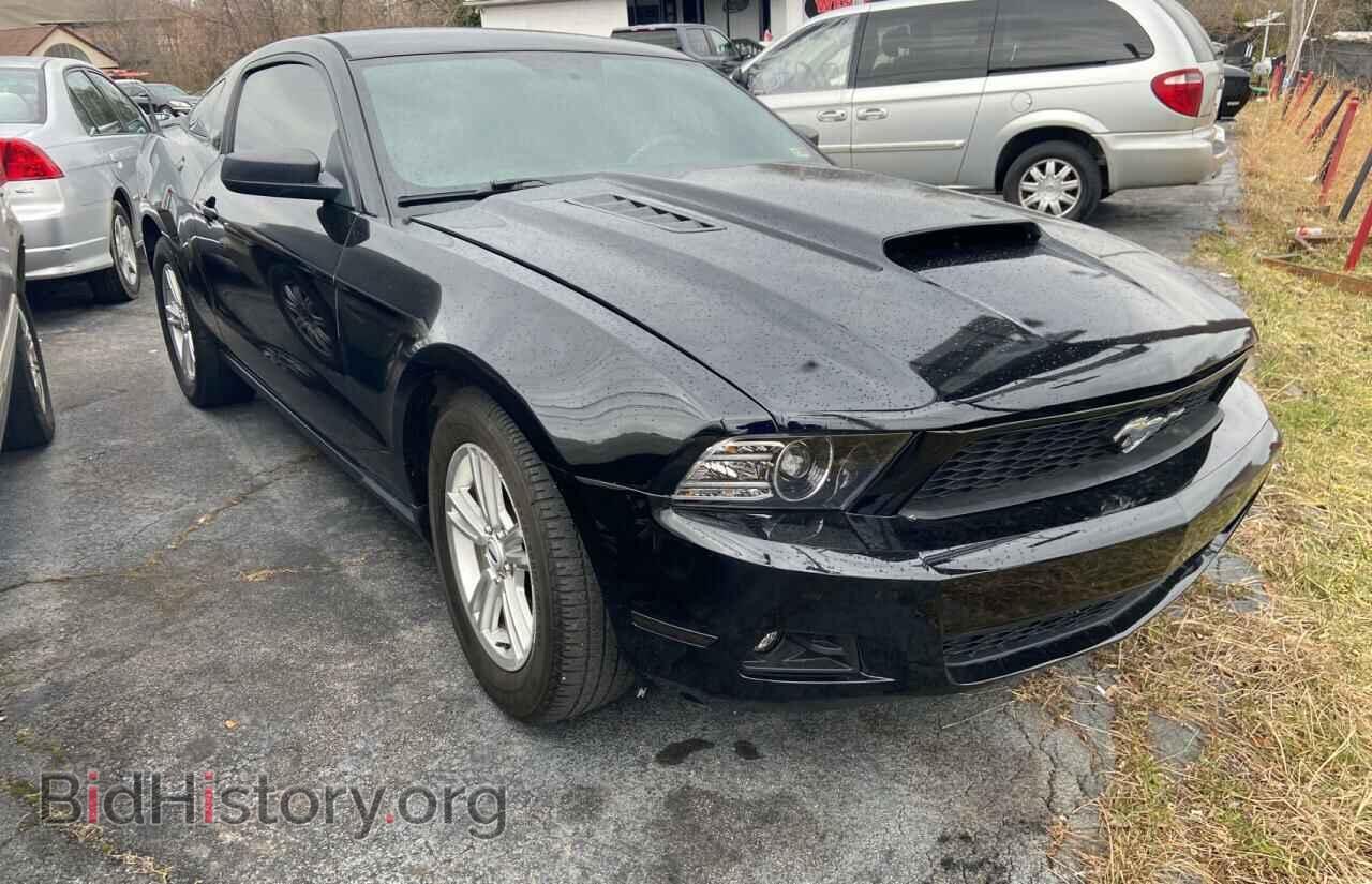 Фотография 1ZVBP8AM1C5261775 - FORD MUSTANG 2012