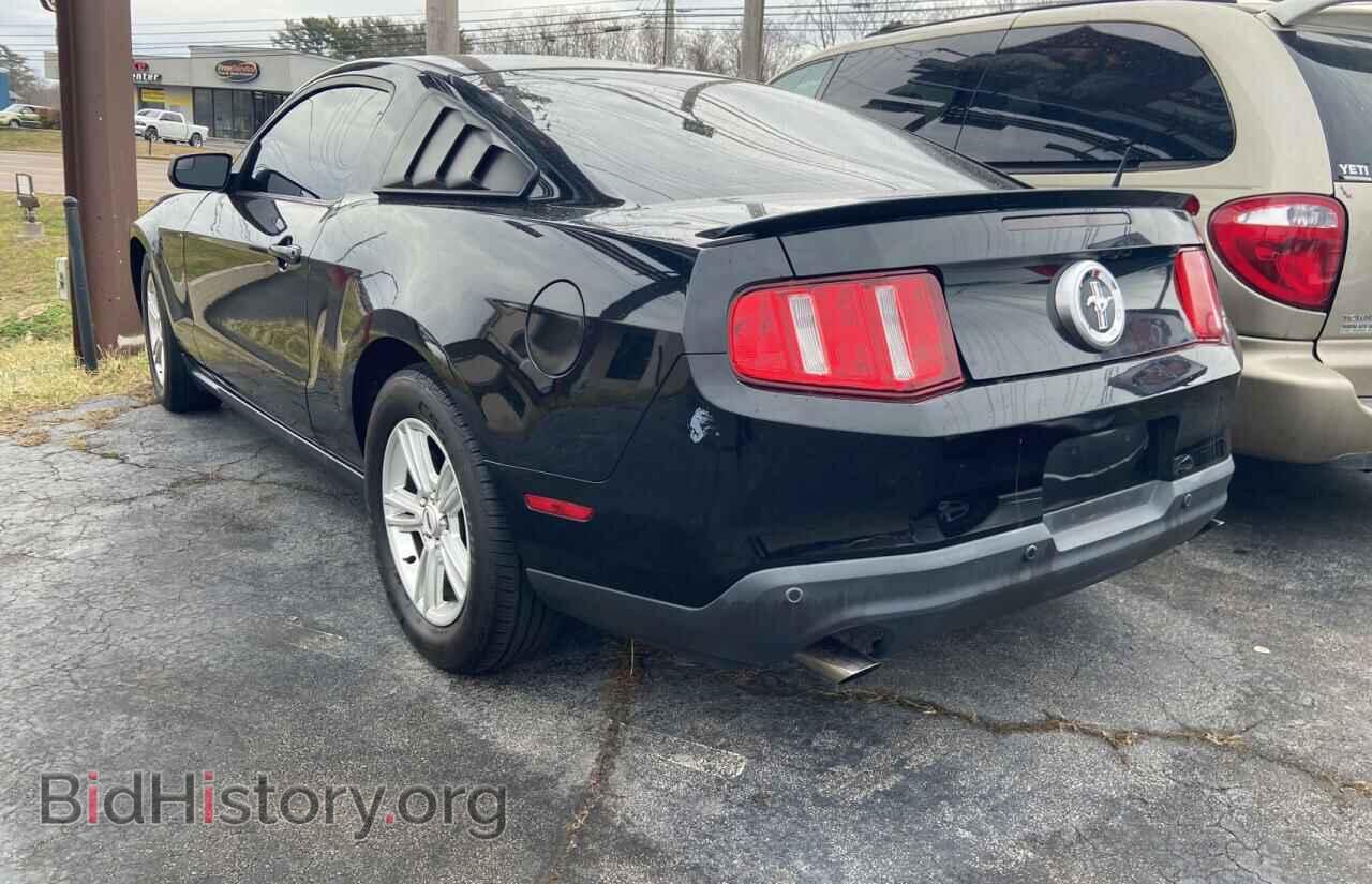 2012 FORD MUSTANG - VIN: 1ZVBP8AM1C5261775 - Фото 3
