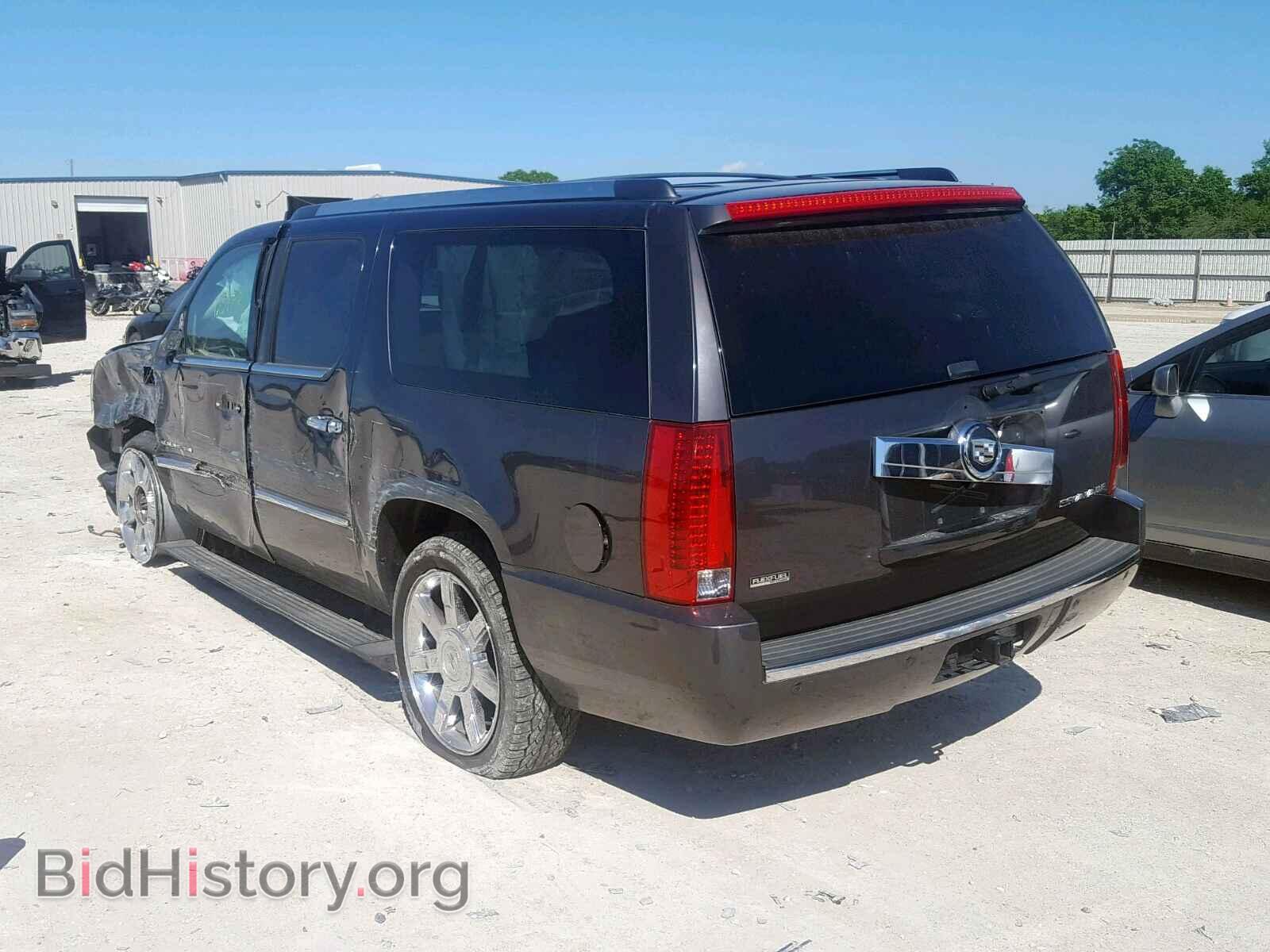 2010 CADILLAC ESCALADE E - VIN: 1GYUKJEF6AR255015 - Фото 3