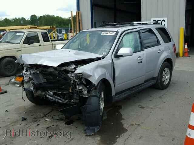 2011 FORD ESCAPE - VIN: 1FMCU9EG4BKB94837 - Фото 2