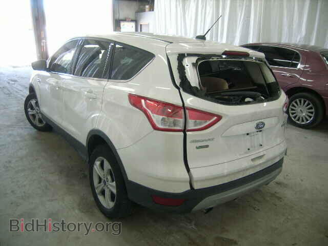 2014 FORD ESCAPE - VIN: 1FMCU0GX2EUB55682 - Photo 3