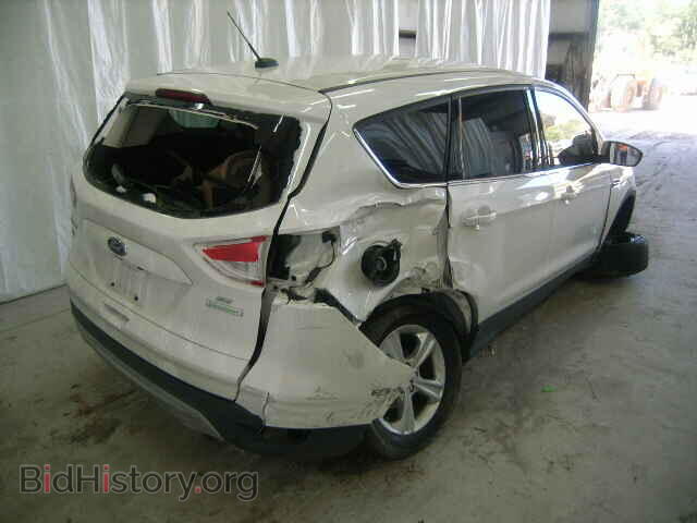 2014 FORD ESCAPE - VIN: 1FMCU0GX2EUB55682 - Photo 4