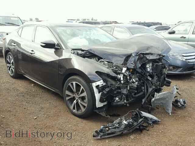Фотография 1N4AA6AP1HC427459 - NISSAN MAXIMA 2017