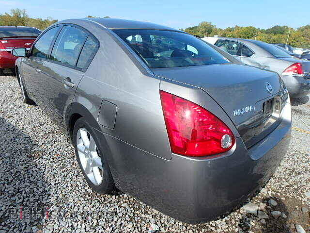 2005 NISSAN MAXIMA - VIN: 1N4BA41E05C828410 - Фото 3