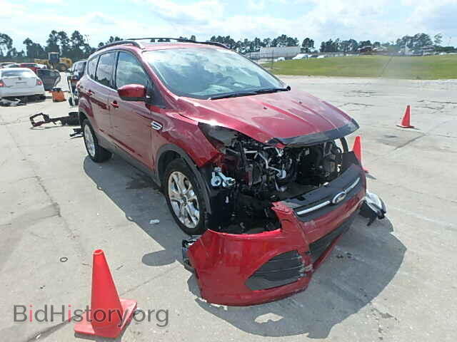 Фотография 1FMCU0GXXDUD83931 - FORD ESCAPE 2013