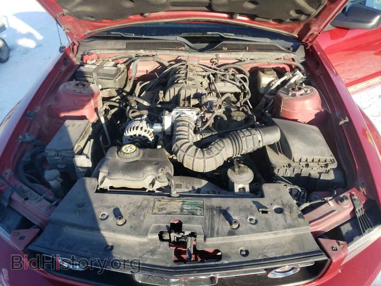 2008 FORD MUSTANG - VIN: 1ZVHT84N985195235 - Фото 7