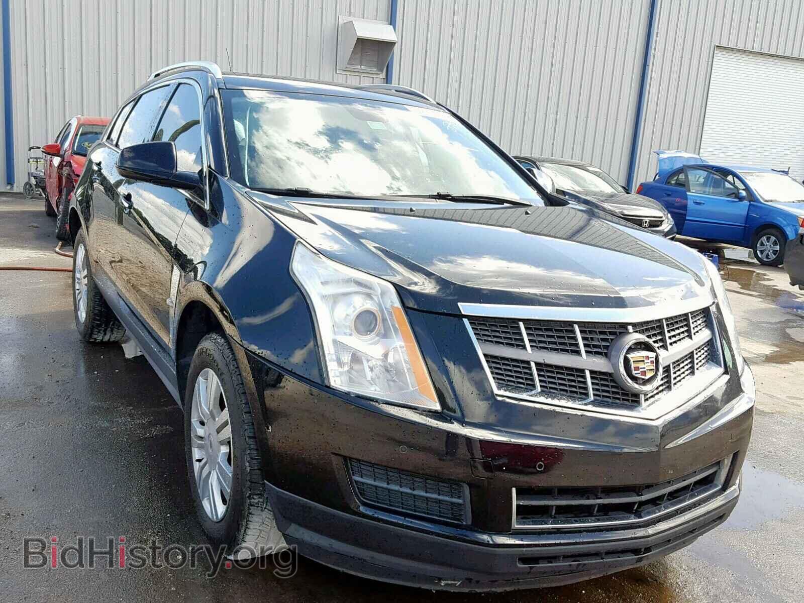 Photo 3GYFNAEY0BS661226 - CADILLAC SRX LUXURY 2011
