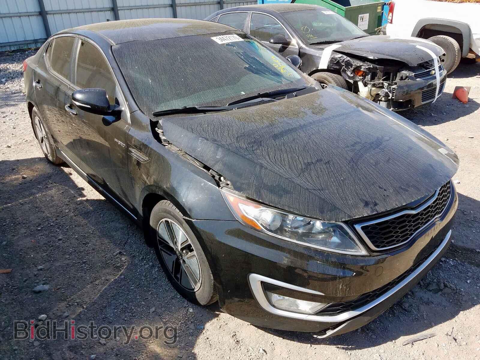 Фотография KNAGM4AD5D5044559 - KIA OPTIMA 2013