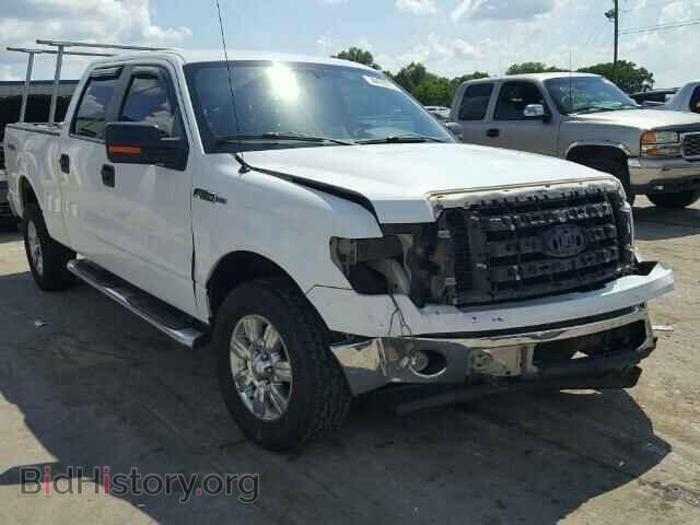 Photo 1FTFW1EV0AFB58937 - FORD F150 2010