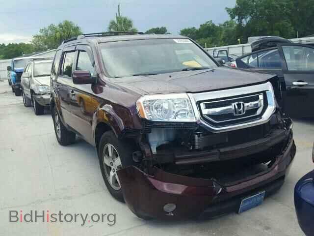 Фотография 5FNYF38459B002156 - HONDA PILOT 2009