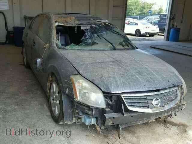 Photo 1N4BA41E38C817146 - NISSAN MAXIMA 2008