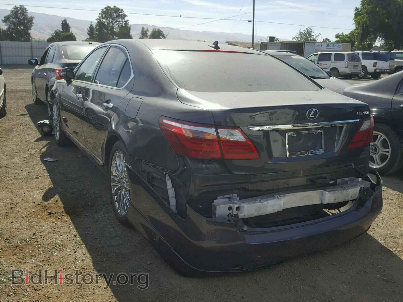2011 LEXUS LS460 - VIN: JTHBL5EF2B5101734 - Фото 3