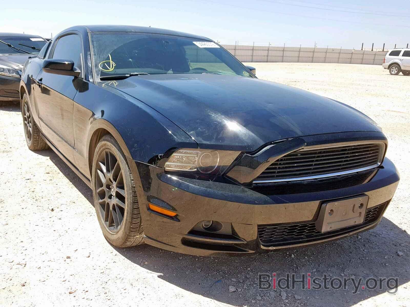 Photo 1ZVBP8AM2E5334591 - FORD MUSTANG 2014