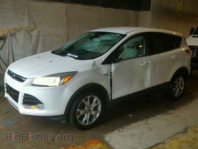 2013 FORD ESCAPE - VIN: 1FMCU0H94DUD36796 - Фото 2