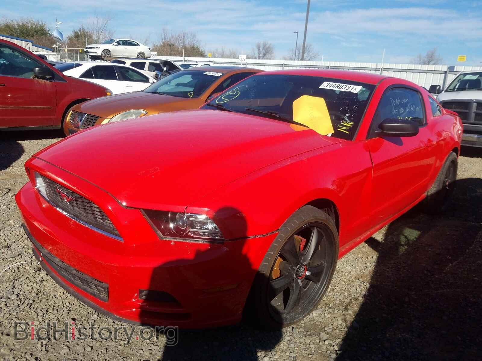 2013 FORD MUSTANG - VIN: 1ZVBP8AM7D5279831 - Фото 2