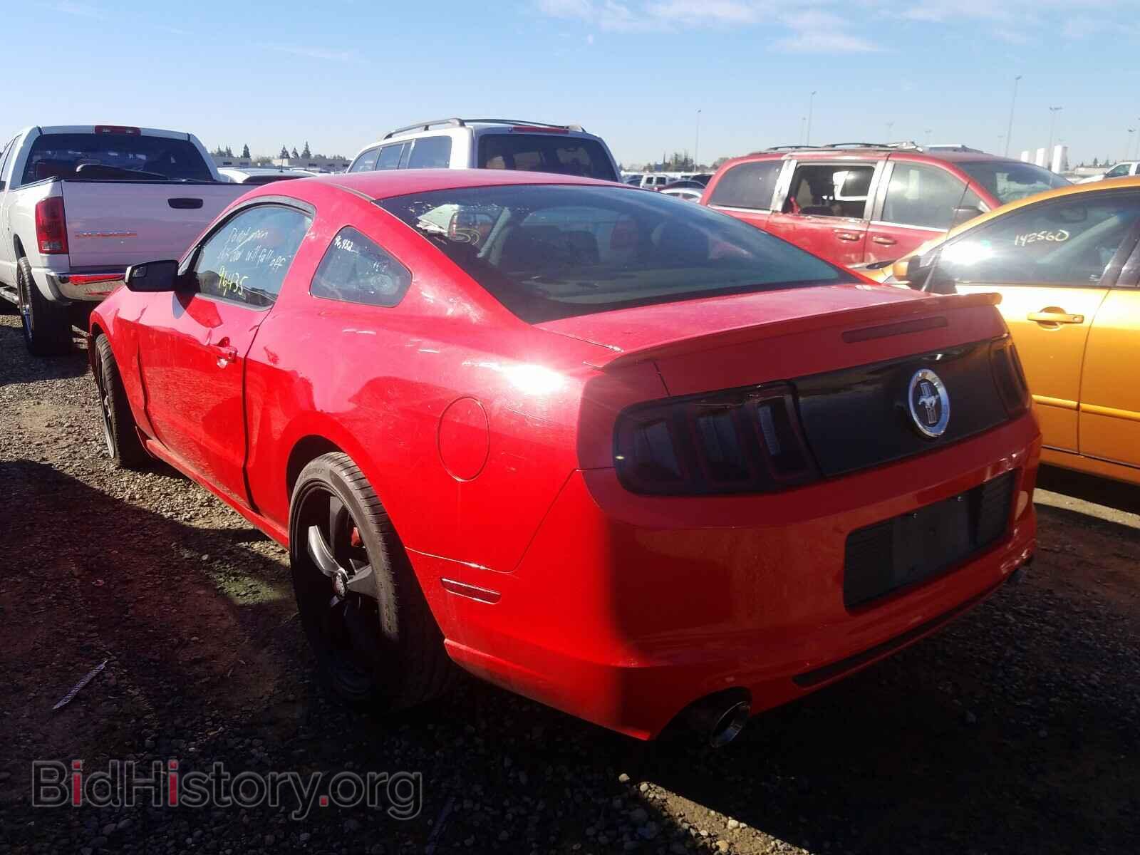 2013 FORD MUSTANG - VIN: 1ZVBP8AM7D5279831 - Фото 3