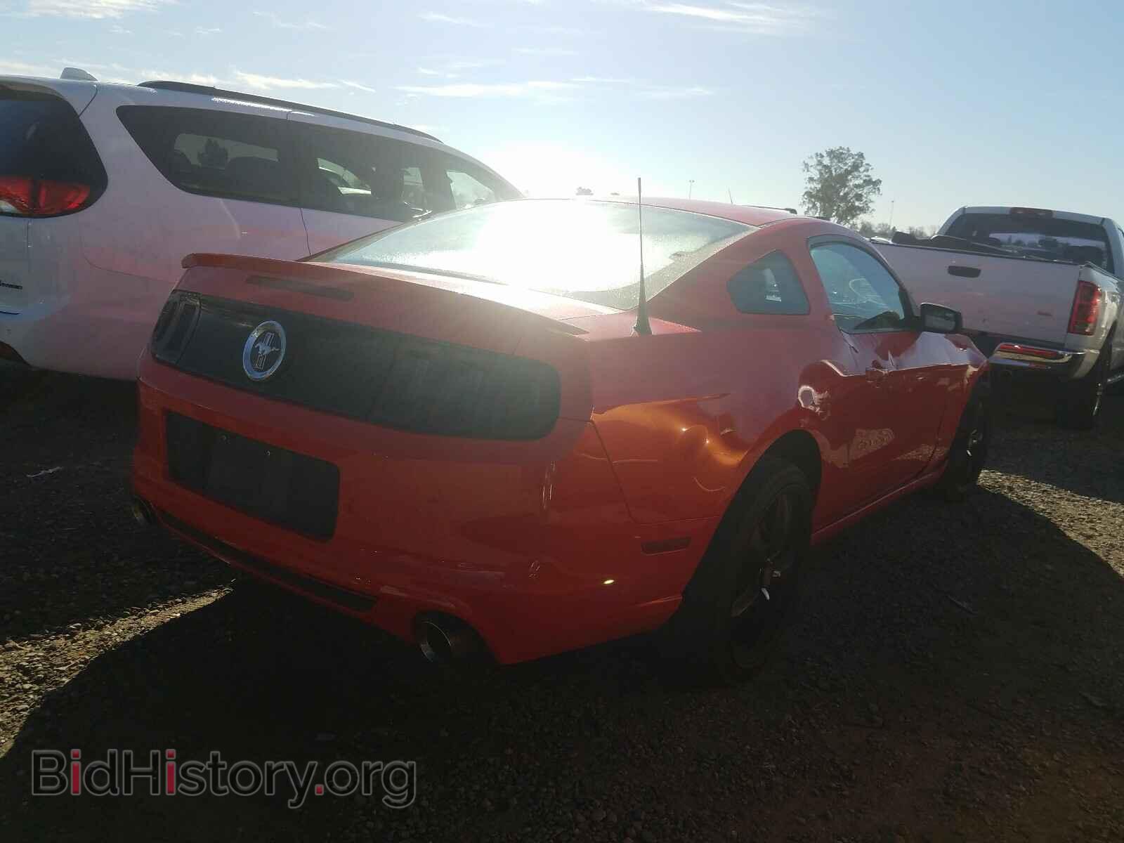 2013 FORD MUSTANG - VIN: 1ZVBP8AM7D5279831 - Фото 4
