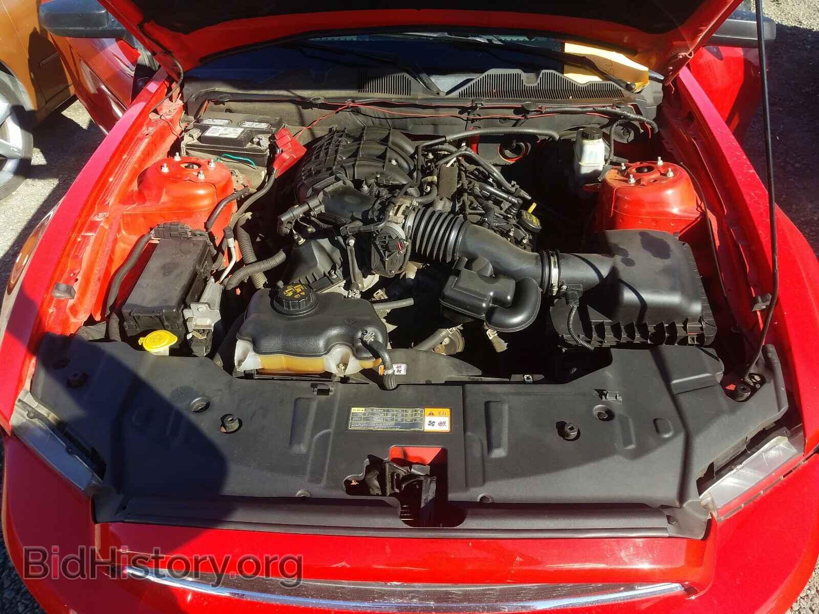 2013 FORD MUSTANG - VIN: 1ZVBP8AM7D5279831 - Фото 7