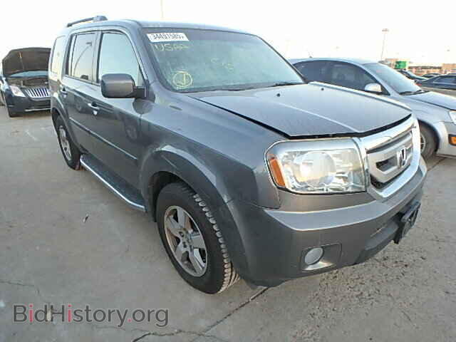 Фотография 5FNYF3H76BB043170 - HONDA PILOT 2011