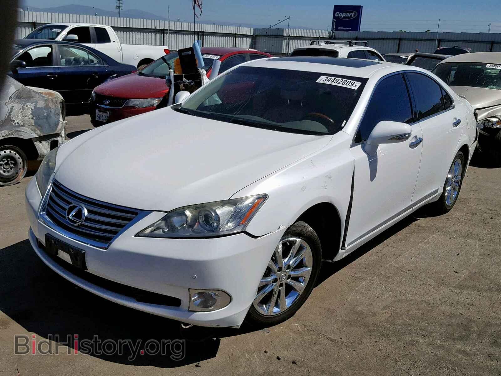 2011 LEXUS ES350 - VIN: JTHBK1EG2B2444064 - Фото 2