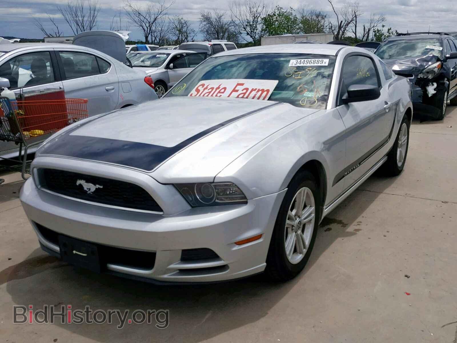 2013 FORD MUSTANG - VIN: 1ZVBP8AM2D5254707 - Фото 2